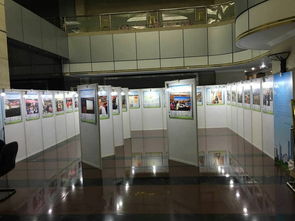 深圳展板出租規(guī)格及專業(yè)展覽服務(wù)指南